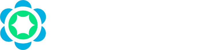 veriPAYE Logo Final v1